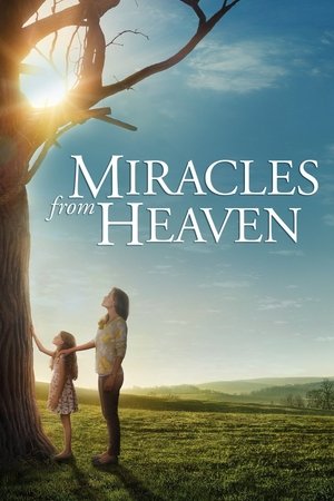 Miracles From Heaven 2016 The Movie Database Tmdb