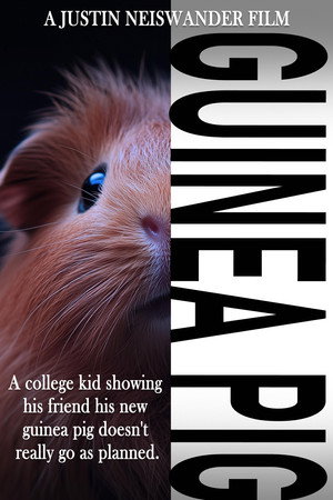 Guinea Pig