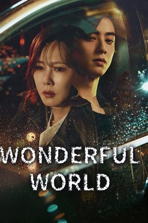 Wonderful World saison 1 poster