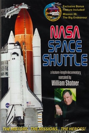 The Space Shuttle