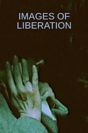 Images of Liberation poster