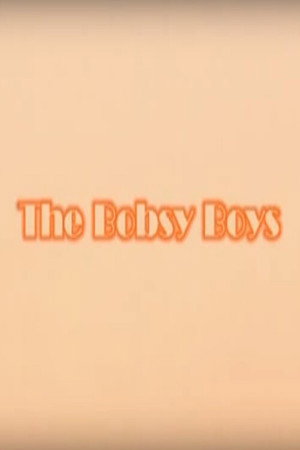 The Bobsy Boys poster