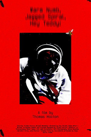Warm Numb, Jagged Spiral, Hey Teddy! poster