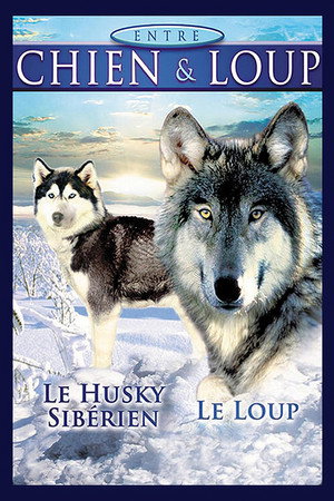 Between Dog and Wolf poster
