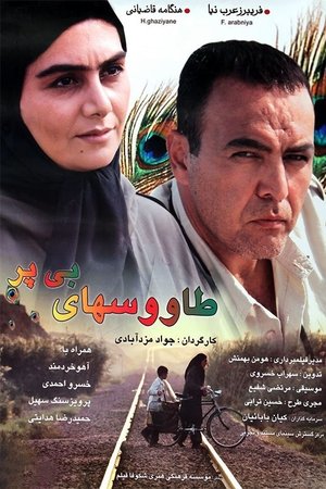 طاووس‌های بی پر
