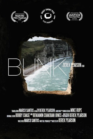Blink poster