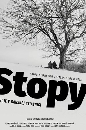 Footprints: Fighting in Banská Štiavnica