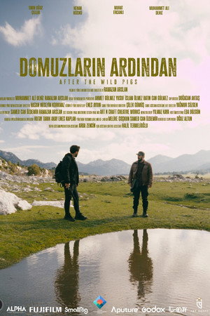 Domuzların Ardından