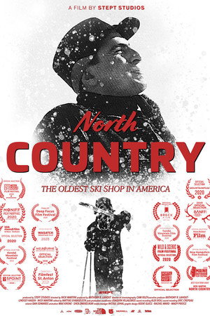 North Country poster