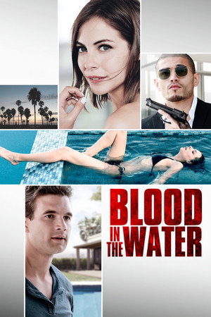 Blood In The Water