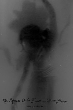 Un Aperçu De La Fracture D’une Fleur