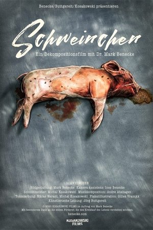 Piggy