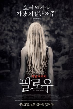 팔로우