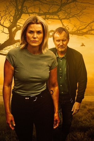 Sin límites (Los casos del Departamento Q)