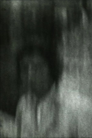 The Carnivore poster