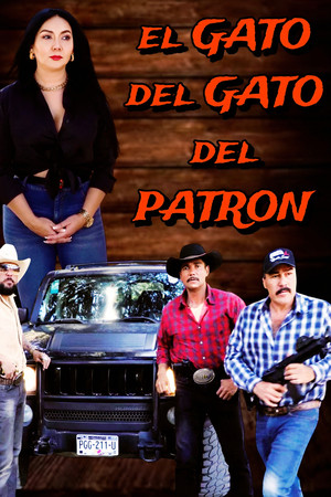 El Gato del Gato Del Patron