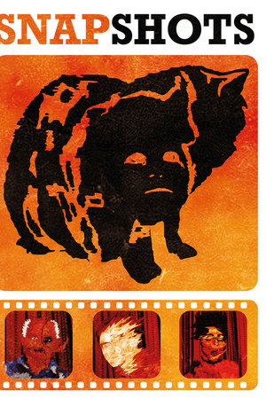 SnapShots poster