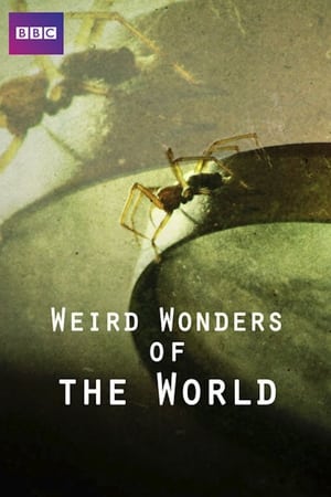 Weird Wonders of the World