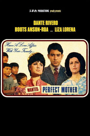 Wanted: Perfect Mother
