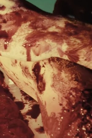 Dating Horror Stories