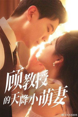 顾教授的天降小萌妻