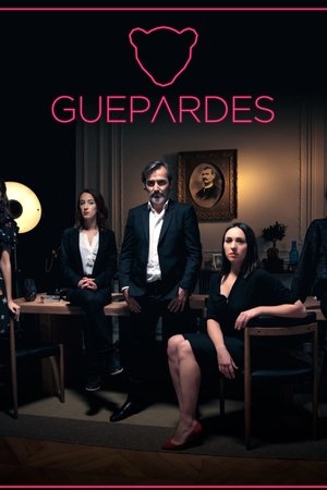 Guépardes