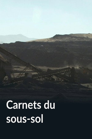 Carnets du sous-sol poster