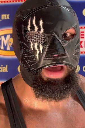 Dark Panther
