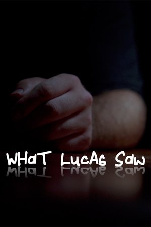 What Lucas Saw