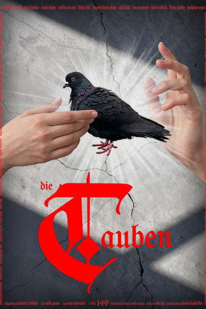 Die Tauben Die Tauben