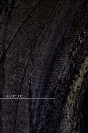 Sculptures [short]