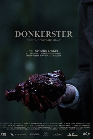 Donkerster