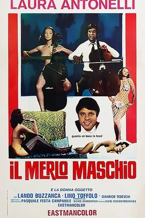 Il merlo maschio