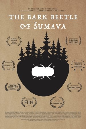 The Bark Beetle of Šumava