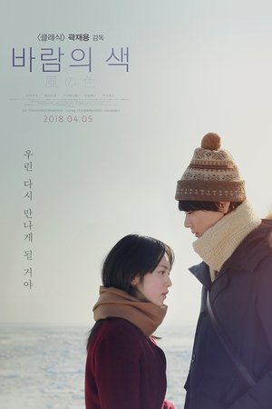 바람의 색