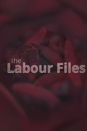 The Labour Files