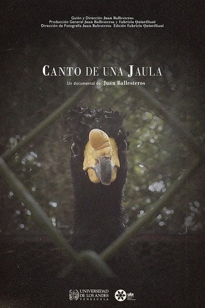 Canto de una jaula poster
