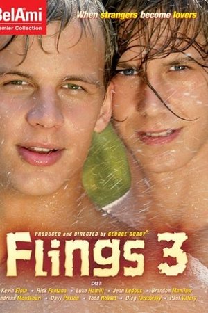 Flings 3