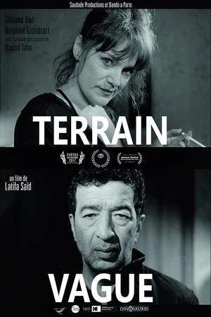 Terrain Vague