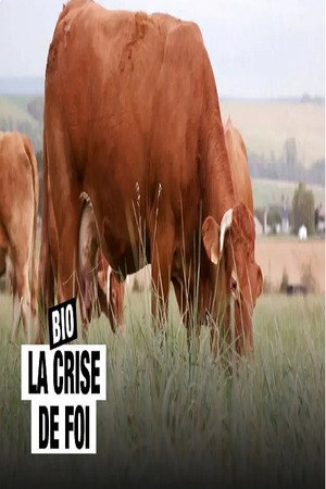 Bio, la crise de foi poster