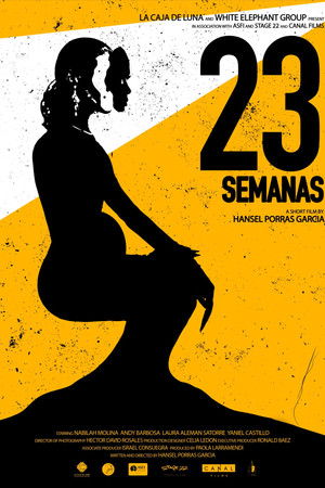23 Semanas