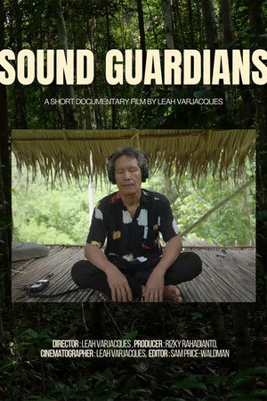 Sound Guardians poster