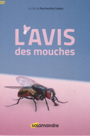 L'Avis Des Mouches poster