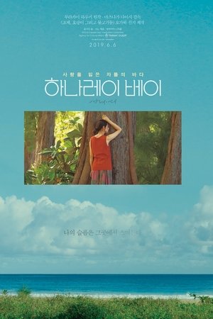 하나레이 베이