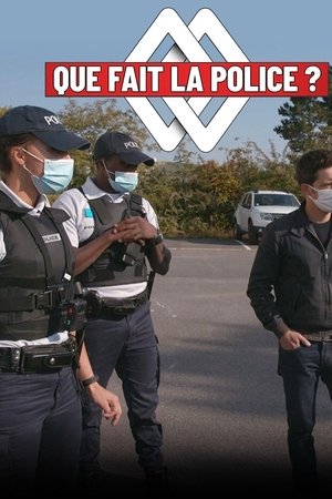 Que fait la police ?