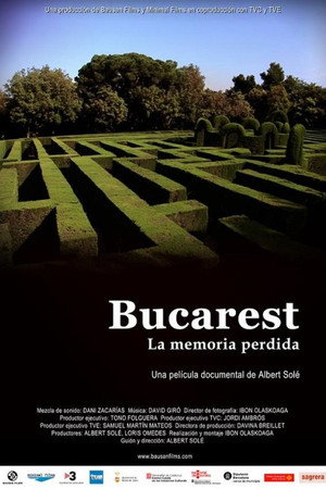 Bucarest, la memòria perduda poster