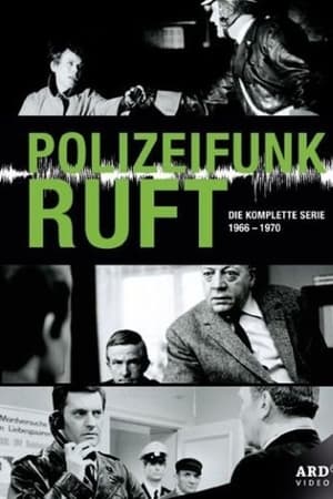 Polizeifunk ruft