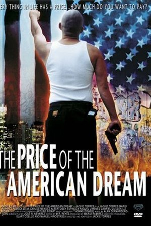 The Price of the American Dream