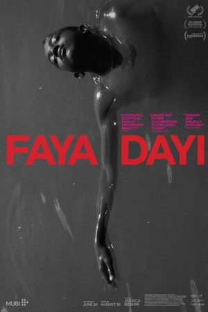 Poster of Faya Dayi