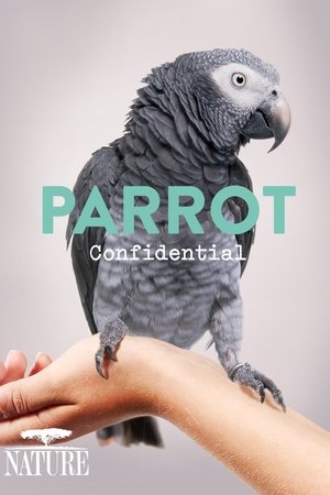 Parrot Confidential